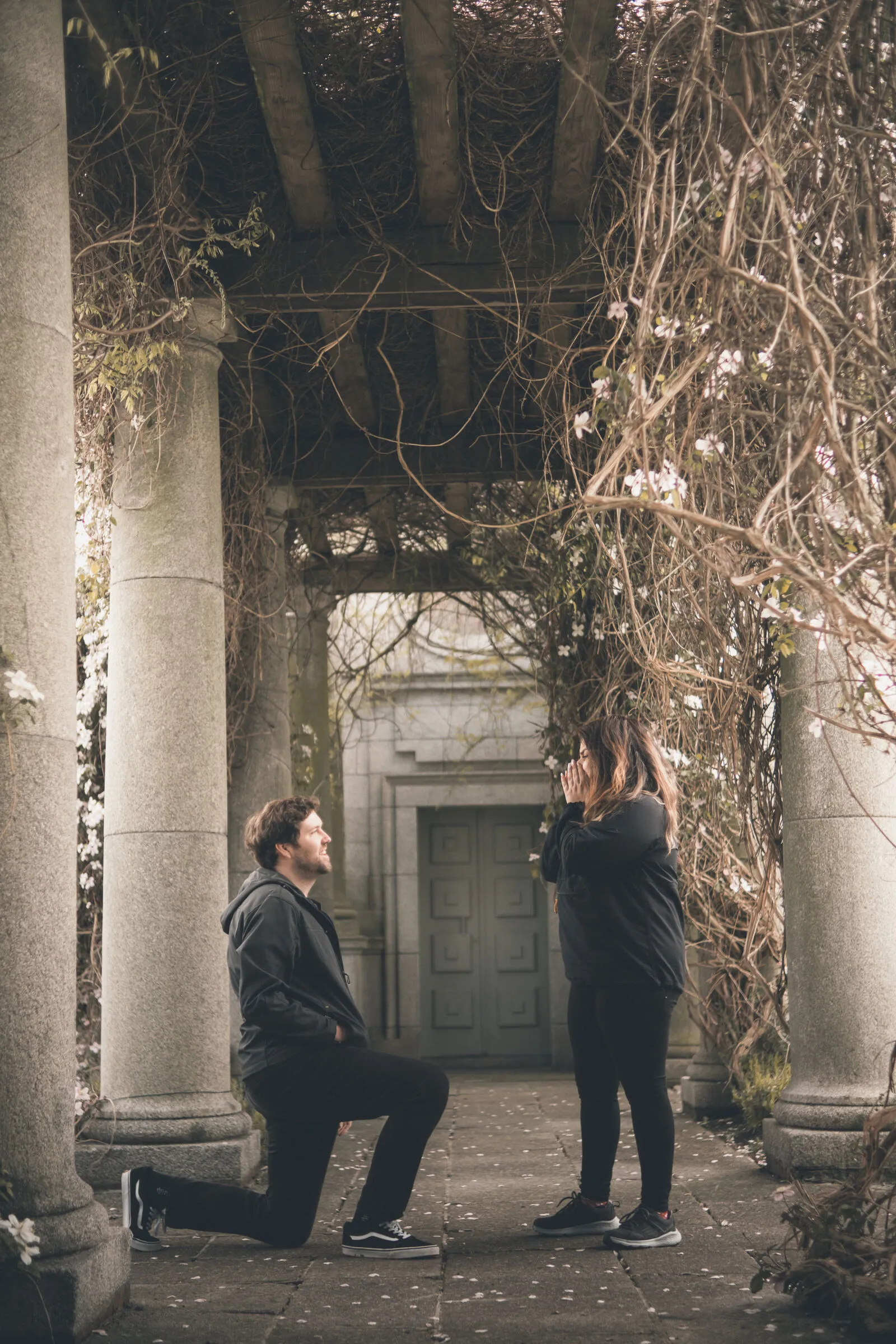Cameron & Katie — surprise proposal in Iveagh Gardens, Dublin