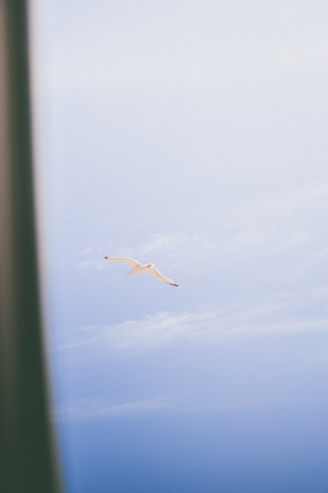 John & Emma — the rooftop (05), wedding photography by Anna Mello Studios, Dublin