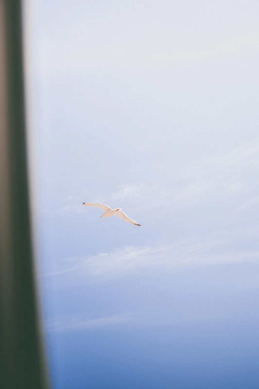 John & Emma — the rooftop (05), wedding photography by Anna Mello Studios, Dublin